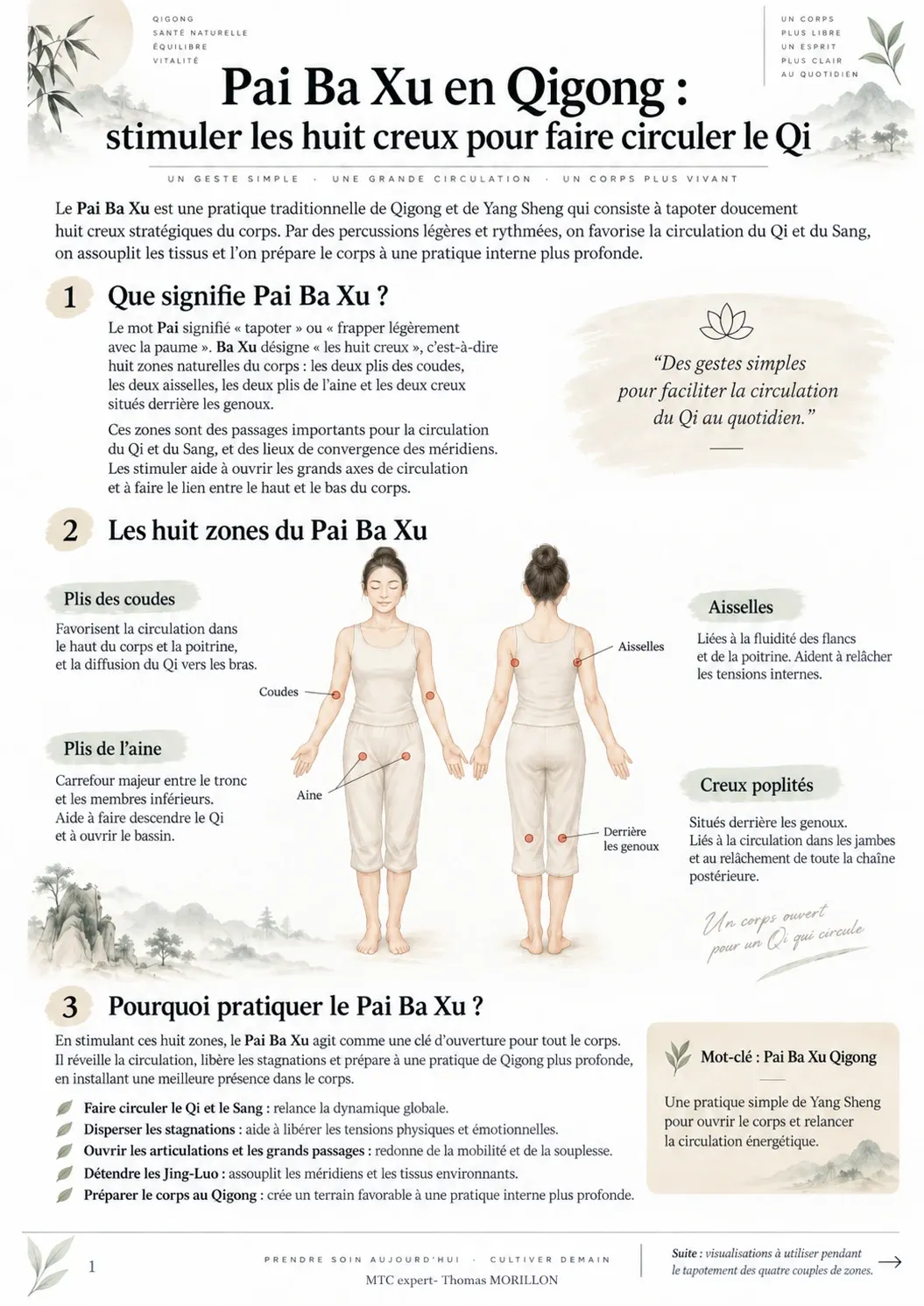 Infographie du Pai Ba Xu en Qigong : schéma d’une femme de face et de dos avec les huit creux à stimuler (coudes, aisselles, aines, creux poplités), signification du terme et bienfaits de la pratique