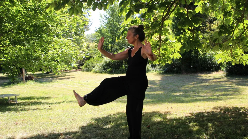 Femme pratiquant le Tai Chi en extérieur, dans un jardin ombragé